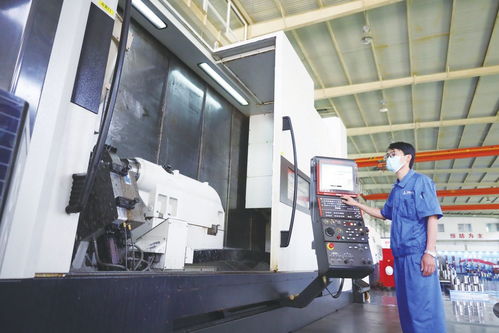 小巨人背后的成长密码 建设工程的智慧与策略