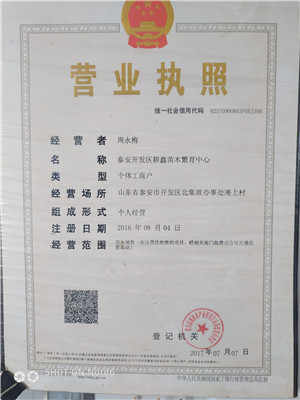 吉林煜烁苗木露天香椿苗种植基地建设工程启动