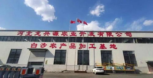 天天12条 爱心传递与政策调整，邯郸展现温暖城市形象