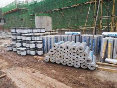 机场口岸新防线 科顺助力打造国际健康服务中心，构筑城市健康新形象